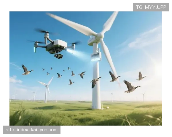 无人机航拍与直播技术广泛应用 拓宽体育旅游内容传播维度。